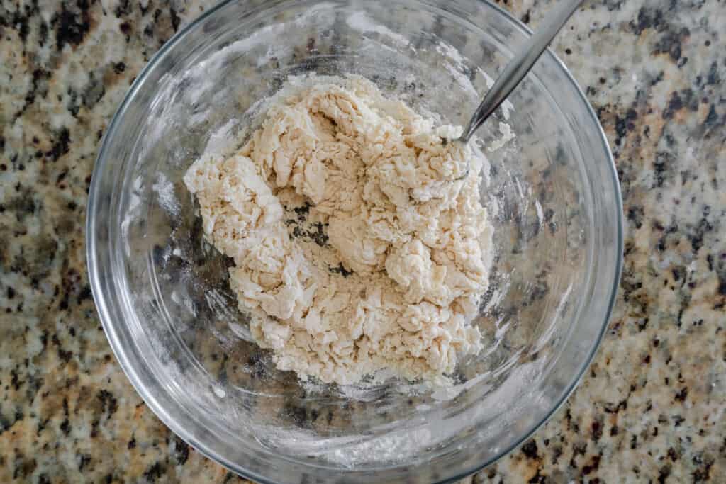 shaggy dough in bowl